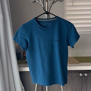 Patagonia Womens Teal Graphic Tee